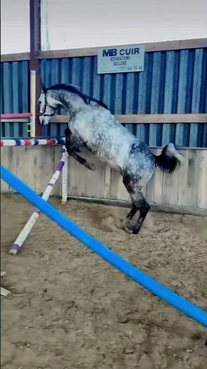 5 de diciembre de 2025