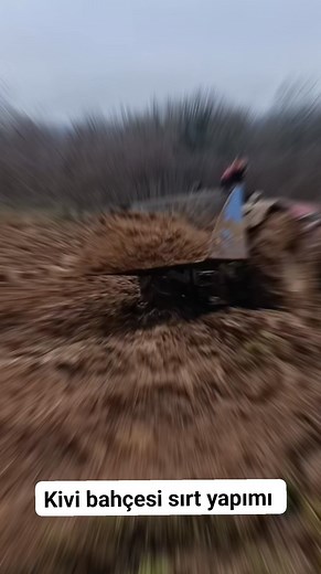 1.5K views · 45 reactions | #Kivi bahçesine sırt için #traktör sepetiyle kumsal #toprak seriyoruz | Master Çiftçi Mehmet Korkmaz | Facebook