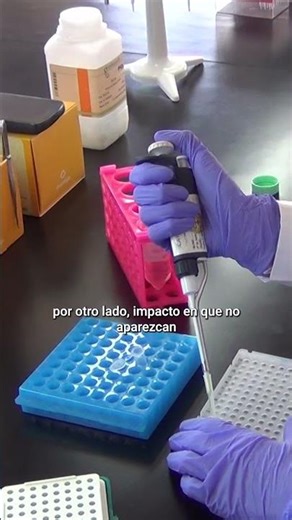 🌱🧬RESISTANT SOYBEANS: biotechnology to protect them from the stink bug