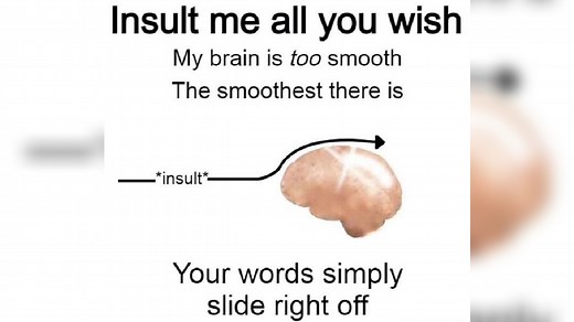 Insult Me All You Wish My Brain Is Too Smooth | Know Your Meme