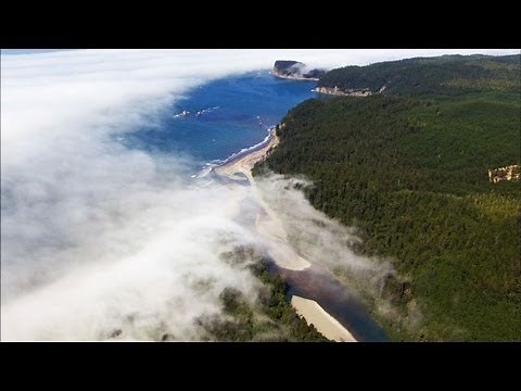 Where to Find Vampires in America