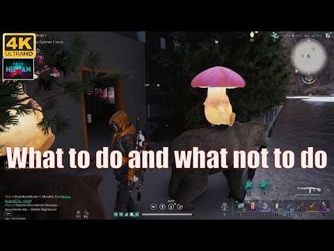 TUTORIAL / Once Human Gameplay 4K