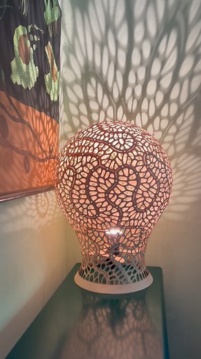 1.6K views · 76 reactions | This is your periodic reminder that we make jewelry, puzzles, lamps, and art objects that you can buy, inspired by natural patterns and made using math and science. If you see anything in this video that you want to buy message us and we’ll link you to it. #3dprinting #lasercutting #radiolaria #generativedesign #nervoussystemjewelry #design | Nervous System | Facebook