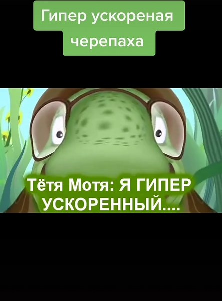 Hyper-Accelerated Turtle | SMG4 Parody ft. Aunt Motya Original