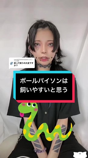 ボールパイソンの魅力と飼い方解説