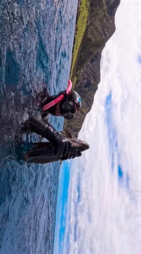 Diving and Spearfishing Adventures in New Zealand