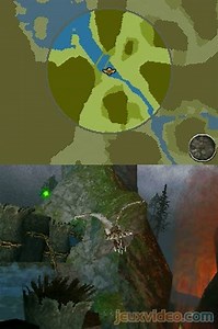 Le Royaume de Ga'Hoole : La Légende des Gardiens - Le Jeu Vidéo : Début d'une mission