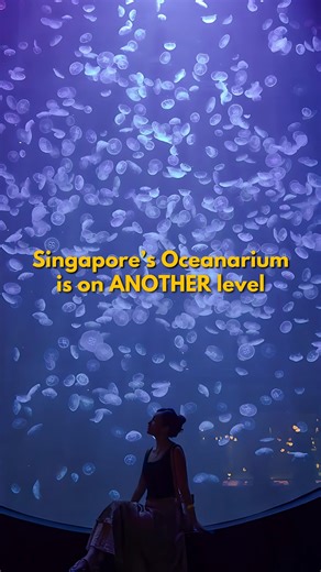 6.4K views · 29 reactions | This is o-fish-ally the coolest oceanarium in Singapore  3x BIGGER than the former S.E.A. Aquarium, the Singapore Oceanarium is here with 22 habitats and plenty of fish! Discover the world’s diverse marine ecosystems, from mangroves to the deep sea, and see how all life on earth is connected to the big blue! Singapore Oceanarium ️ From 24 July 2025 ⏰ 10AM - 7PM ️ From ~S$42/adult #SingaporeOceanarium #RWSmoments | The Travel Intern | Facebook