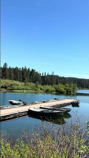 Relaxing by the Clear lake #oregon #lake #clearwater