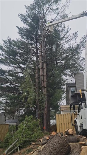 Alex Corado on Reels