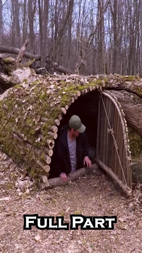 Cozy Dugout Shelter: Bushcraft Survival in the Woods