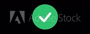 animated footage check list icon. motion graphich green check mark. icon animation is correct or approved Stock Video