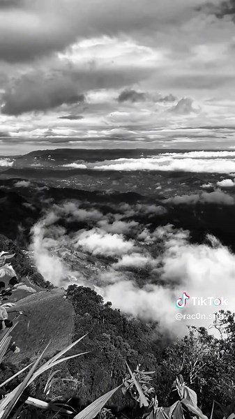 Racon Sözleri Yazın: Polat Alemdar'ın Tarzı