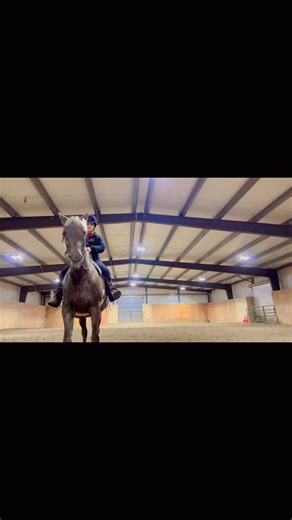 I enjoy the groundwork almost as much as the riding | Spirit and Spurs Equestrians