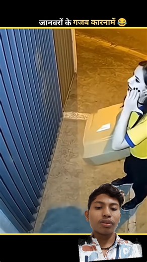 funny Animals video 😂 #funny​ #funnyanimals​ #shorts​ #comedy​#funny​#funnyfails​#animals​