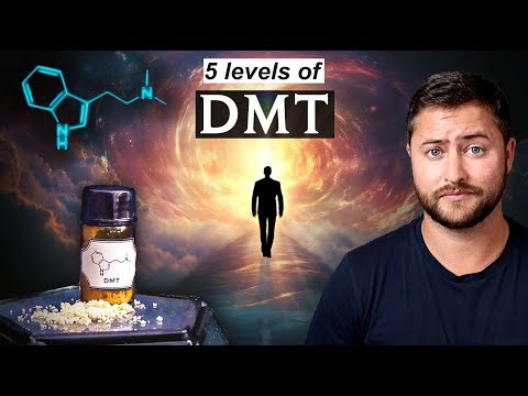 The 5 Levels of a DMT Experience (Explained)