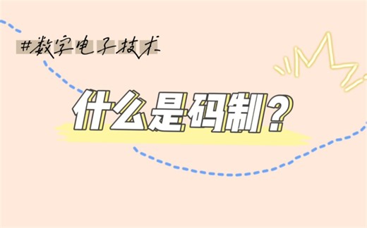【数字电子】D11-04-什么是码制？