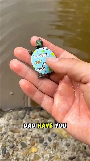 Dad turtle rescue mission 🐢🐢🤯🤯 #shorts #shortsfeed