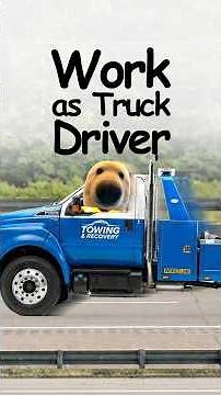 What it's like working as a Tow Truck Driver? Explained by doggie 🚛🐕
