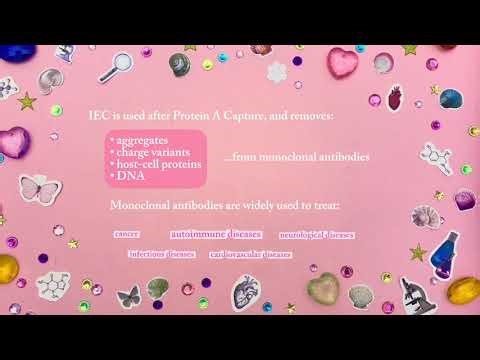 Column Chromatography: Ion Exchange ♡₊˚⊹ (PART 3)