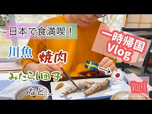日本で食べ物を満喫する/スウェーデン北部在住の一時帰国Vlog8