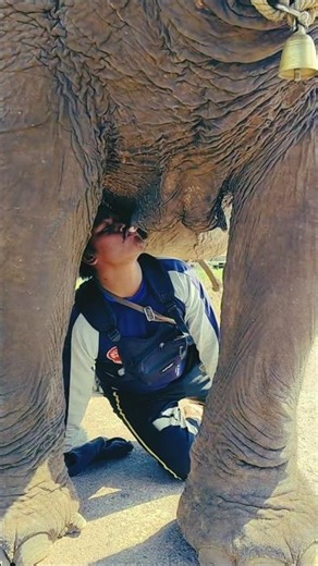 I Drank Human Elephant Milk