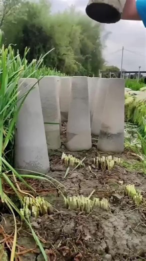 Top 10 Facts (@top10facts00)’s videos with original sound - Top 10 Facts