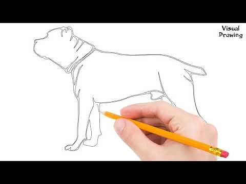 Cane Corso Dog Drawing Easy, How To Draw A Cane Corso Puppies For Beginners Step By Step #canecorso