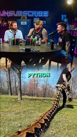 Why Veterans Loved Big Pythons