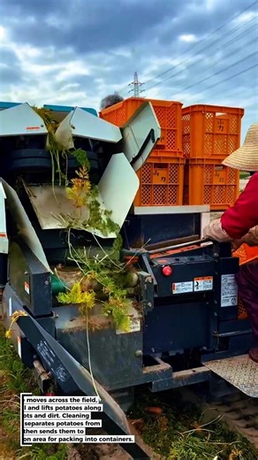 Potato Harvester Machine: Fast & Practical!