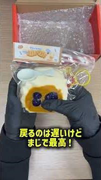 I bought a squishy toy from Pupupuland! #unboxingvideo #squishyintroduction #squishy #triedit