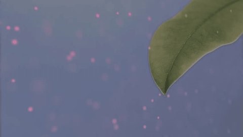 clip-4008270765-animation-molecules-dna-strand-over-leaf-on