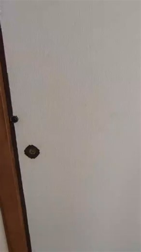 Another tatami room? You bet. ✨ There’s just something about the...