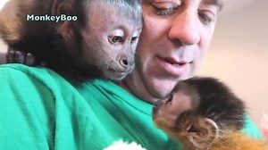 550K views · 10K reactions | MonkeyBoo meets his baby brother @MonkeyHappy for the first time ever!  Can you believe that this little monkey turned 1 year old today?!  Everyone go like MonkeyHappy's Facebook page and tell him Happy 1st Birthday! ❤️ | MonkeyBoo | Facebook