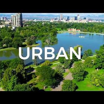 Benefits of Urban Trees