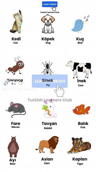 Turkish-English Visual Dictionary 🇹🇷📚#learnturkish #learnturkishlanguage #yös #yössınavı #yös2024 #turco #turska #visualdictionary #turkish #turkishforbeginners #turkishforforeigners
