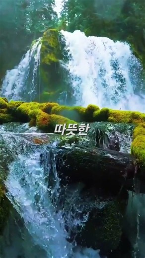 오늘 당신에게 필요한 말