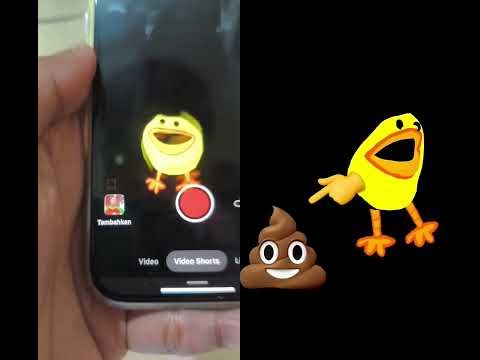 PLUCKY POOP TUTORIAL #trending #smartphone #effect