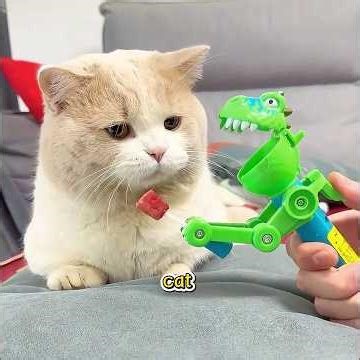 Cat Gets Revenge by Eating Money Tree#cat #funny #shorts