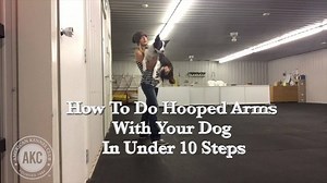 223K views · 5.6K reactions | How to do hooped arms with your dog in under 10 steps! | American Kennel Club | Facebook