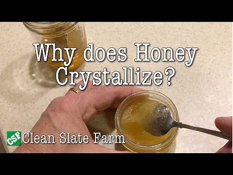 Why does honey crystallize?