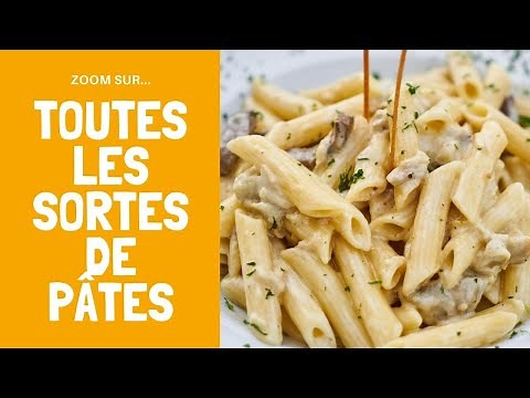 [ZOOM SUR...] Les différentes sortes de pâtes | Les Céréales