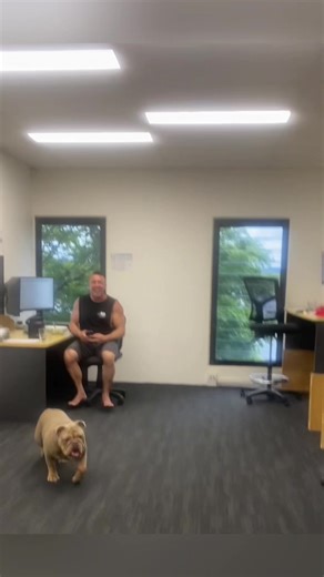 Dog's Hilarious Reaction to Ball Discovery