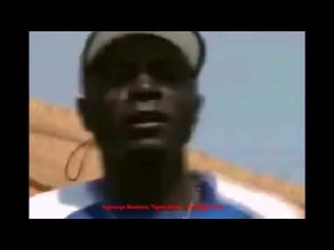 Ngwenya Brothers - Tigere bhoo