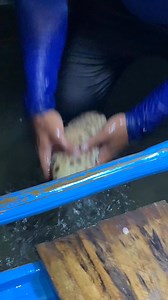 Pricey sea cucumber😍🥰 #seafoodlovers #localfestival #seafoodslover #holidayevent #tuesdayspecial | Great Master