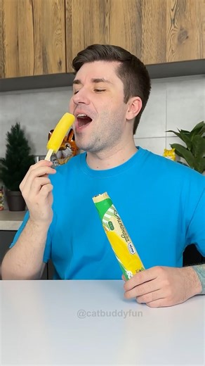 Cat Time Freeze Prank with Ice 🐱🍦🍭Cream #shorts #cats#candy