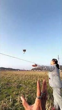# Sugar Glider Training # The Daily Life of a Cute Pet