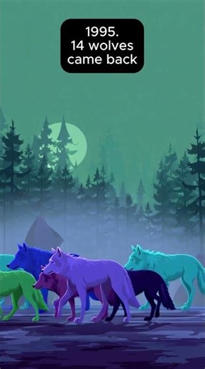 14 wolves changed the course of a river 🐺 #shorts #wolf