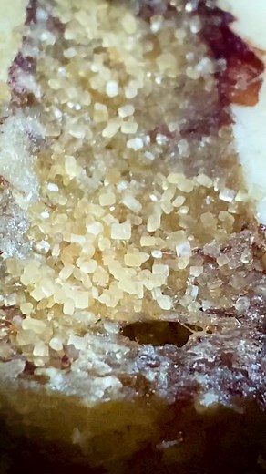 This Bone Marrow recipe is perfectly balanced! Easy and delicious! 🔥 #bonemarrow #barbecue #bbq #kitchen #cooking #chimichurri #brulee #recipes #traegergrills #carnivor #primal #gourmet