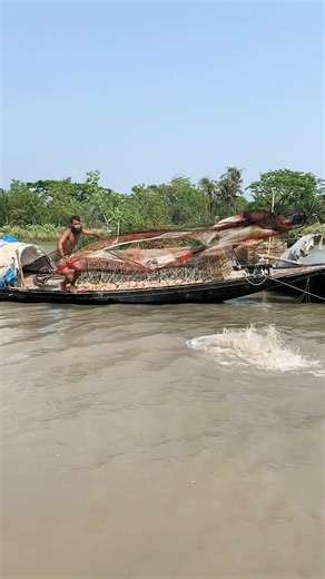 Have you ever caught fish using such a technique? #reels #viral #foryou #jump #realfish #fish